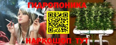 ECSTASY Будённовск